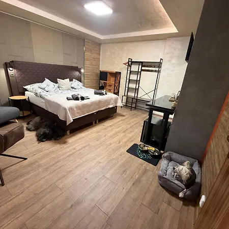 Zeleny Dum 3*