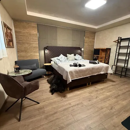 酒店 Zeleny Dum Dolní Poustevna