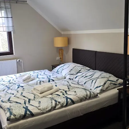 Hotel Zeleny Dum 3*