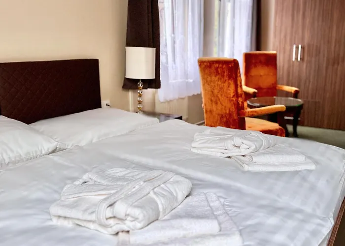 Hotell Zeleny Dum 3*
